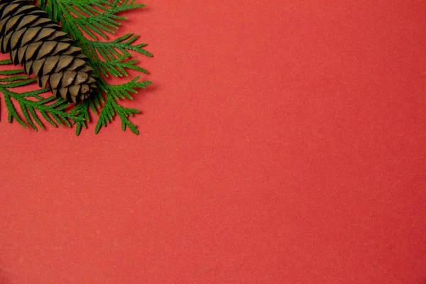 Cono de pino sobre fondo rojo. fondo de Navidad — Foto de Stock