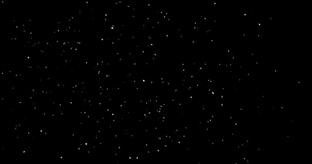 Biały abstrakcyjny śnieg latający na wietrze na czarnym tle. zima — Wideo stockowe