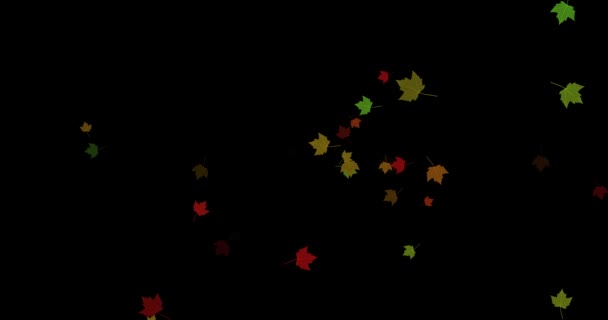 Imágenes de hojas de otoño vuelan y caen sobre un fondo negro. hojas abigarradas verdes amarillas rojas. — Vídeos de Stock