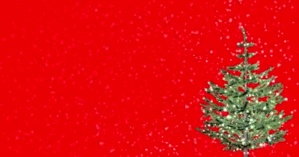 Luces Decoraron Árbol Navidad Con Luces Mágicas Sobre Fondo Rojo — Vídeos de Stock