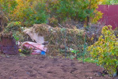 Ülkede ve bahçede çöp dolu gübre yığını, çöplerin yakılması için bir varil. israf