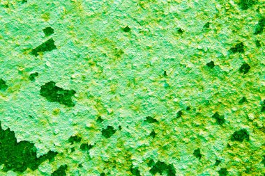 yeşil, pürüzlü bir doku, soyut renkli bir arkaplan. Kartpostallar ve posterler için şablonlar. Boşluğu kopyala