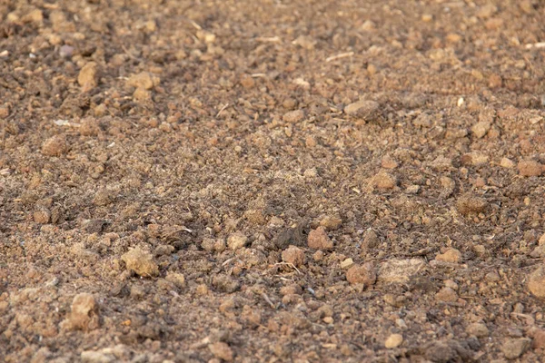 Yta Brun Sand Och Grå Stenar Låg Golvet Lera Och — Stockfoto