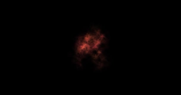 smyčka záběry ohňostroje s jiskřícími světly a hvězdami, zažehne explozi na černém pozadí. 3D vykreslování, Dovolená, Vánoce, Nový rok. Abstraktní šablony ohňostrojů pro grafické karty.
