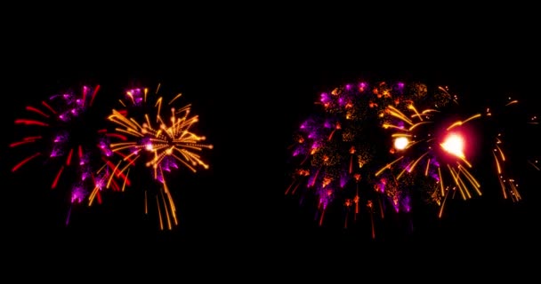Fuegos Artificiales Con Luces Brillantes Estrellas Enciende Una Explosión Sobre — Vídeos de Stock