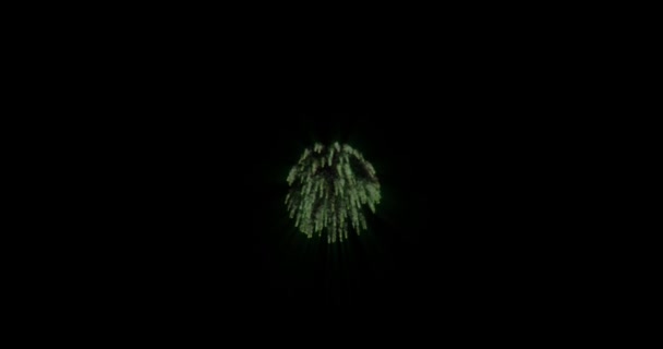 輝く光と星で花火をループさせ 黒い背景で爆発を引き起こします 3Dレンダリング ホリデー クリスマス デザインカード用の花火テンプレート — ストック動画