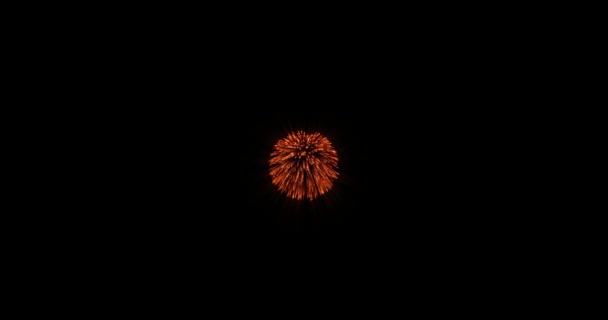 Smyčka Záběry Ohňostroje Jiskřícími Světly Hvězdami Zažehne Explozi Černém Pozadí — Stock video