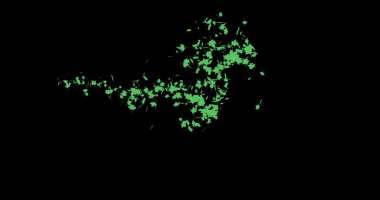 Sonbahar yaprakları uçar ve siyah bir arka plana düşer. yeşil yapraklar. Kartpostallar ve posterler için şablonlar.