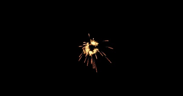Smyčka záběry ohňostroje s jiskřícími světly a hvězdami, zažehne explozi na černém pozadí režimu směsi — Stock video