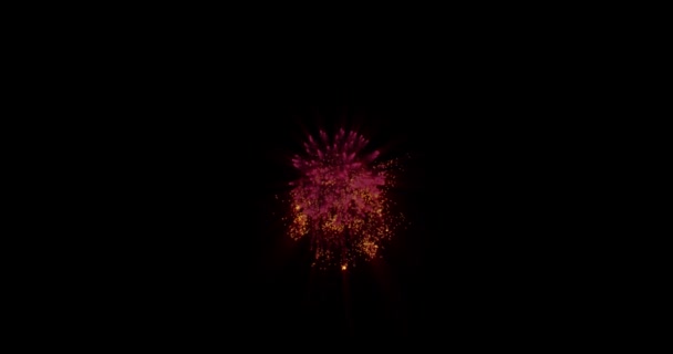 Fuegos artificiales con luces brillantes y estrellas, enciende una explosión sobre un fondo negro — Vídeos de Stock