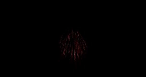 번쩍이는 빛 과 별들로 불꽃놀이하는 장면, 검은 배경 위에서 폭발이 일어나는 장면 — 비디오
