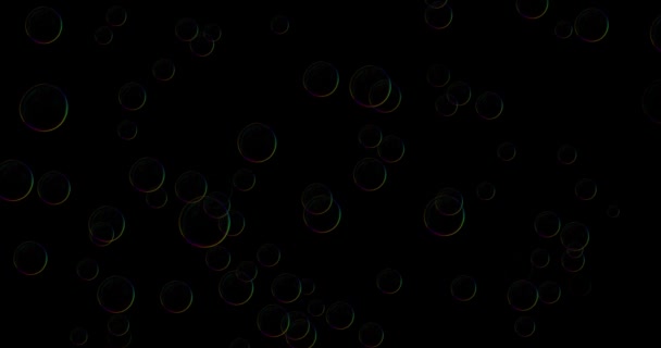 Film Blå Bubblor Svart Bakgrund Genomskinliga Bubblor Rör Sig Uppåt — Stockvideo