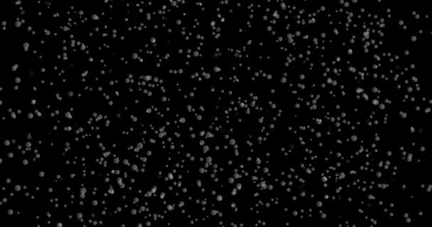 Кадри Сині Бульбашки Чорному Тлі Прозорі Бульбашки Рухаються Вгору Шаблон — стокове відео