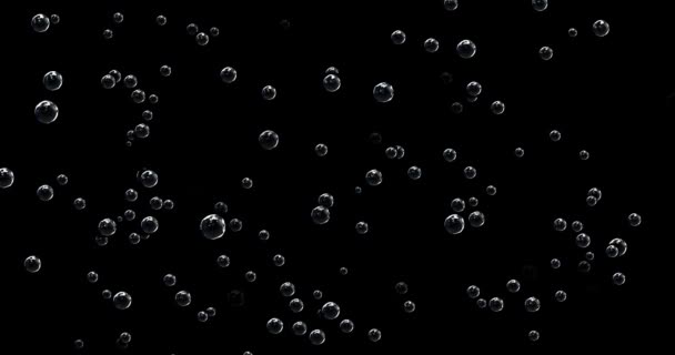 Filmmaterial Blaue Blasen Auf Schwarzem Hintergrund Transparente Blasen Steigen Auf — Stockvideo