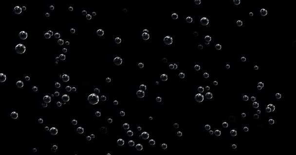 Séquences Bulles Bleues Sur Fond Noir Bulles Transparentes Déplacent Vers — Video