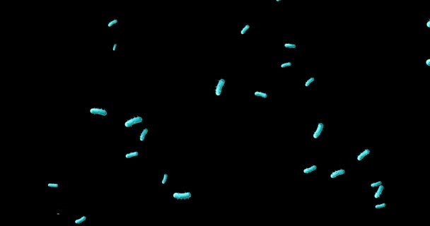 Coronavirus 2019 Ncov Souche Grippe Pandémie Microbes Microorganismes Microscope Virus — Video