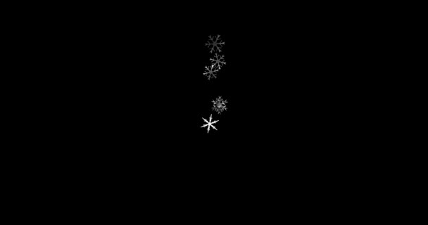 在黑色背景4K 3D上拍摄白色雪花 快乐的圣诞节 假日的雪花 编辑模板 — 图库视频影像