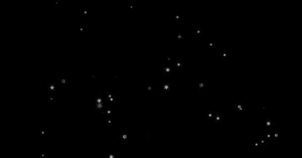 映像黒い背景の白い雪片4K 陽気なクリスマス 雪の結晶 休日の雪の結晶 編集用テンプレート — ストック動画