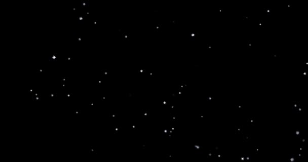 映像黒い背景の白い雪片4K 陽気なクリスマス 雪の結晶 休日の雪の結晶 編集用テンプレート — ストック動画