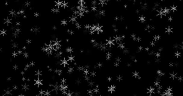 Imagens Flocos de neve brancos no fundo preto 4k 3D. Inverno, floco de neve, flocos de neve. modelo para o modo editing.blend — Vídeo de Stock