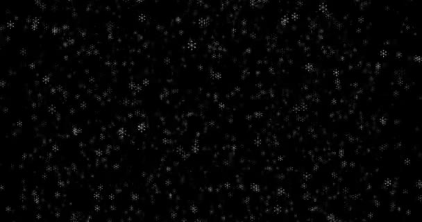 Footage White snowflakes on black background 4k 3D. winter, snowflake, snowflakes. template for editing.blend mode — 图库视频影像