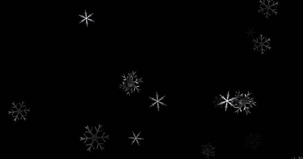Белые снежинки на черном фоне 3D. Зима, снежинка, снег, праздничные снежинки. шаблон для редактирования.