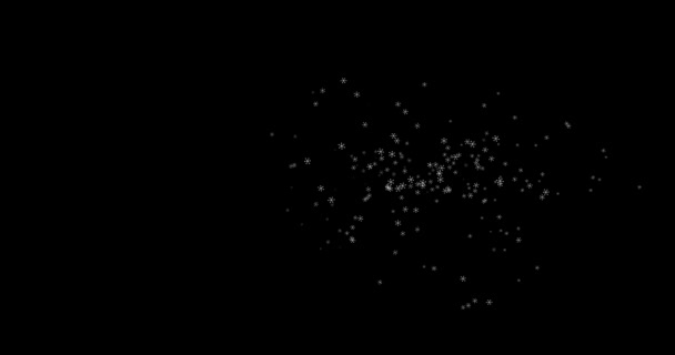 映像黒い背景の白い雪片4k 3D 。冬雪の結晶雪の結晶。編集用テンプレートブレンドモード — ストック動画