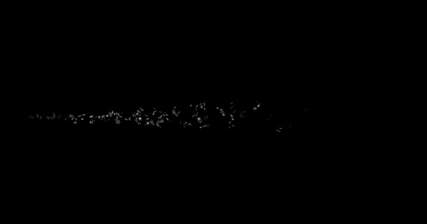 Rekaman White snowflakes pada latar belakang hitam 4k 3D. Musim dingin, kepingan salju, kepingan salju. template untuk mode editing.blend — Stok Video
