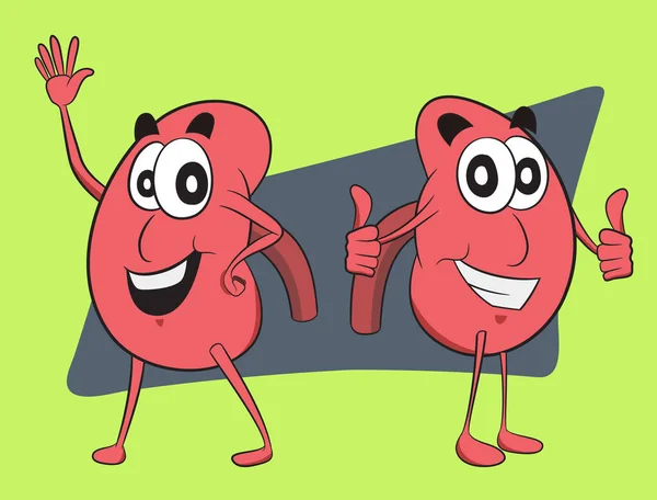 World Kidney Day Firande Grafik Njurkaraktär Gör Tummen Upp Glad — Stock vektor