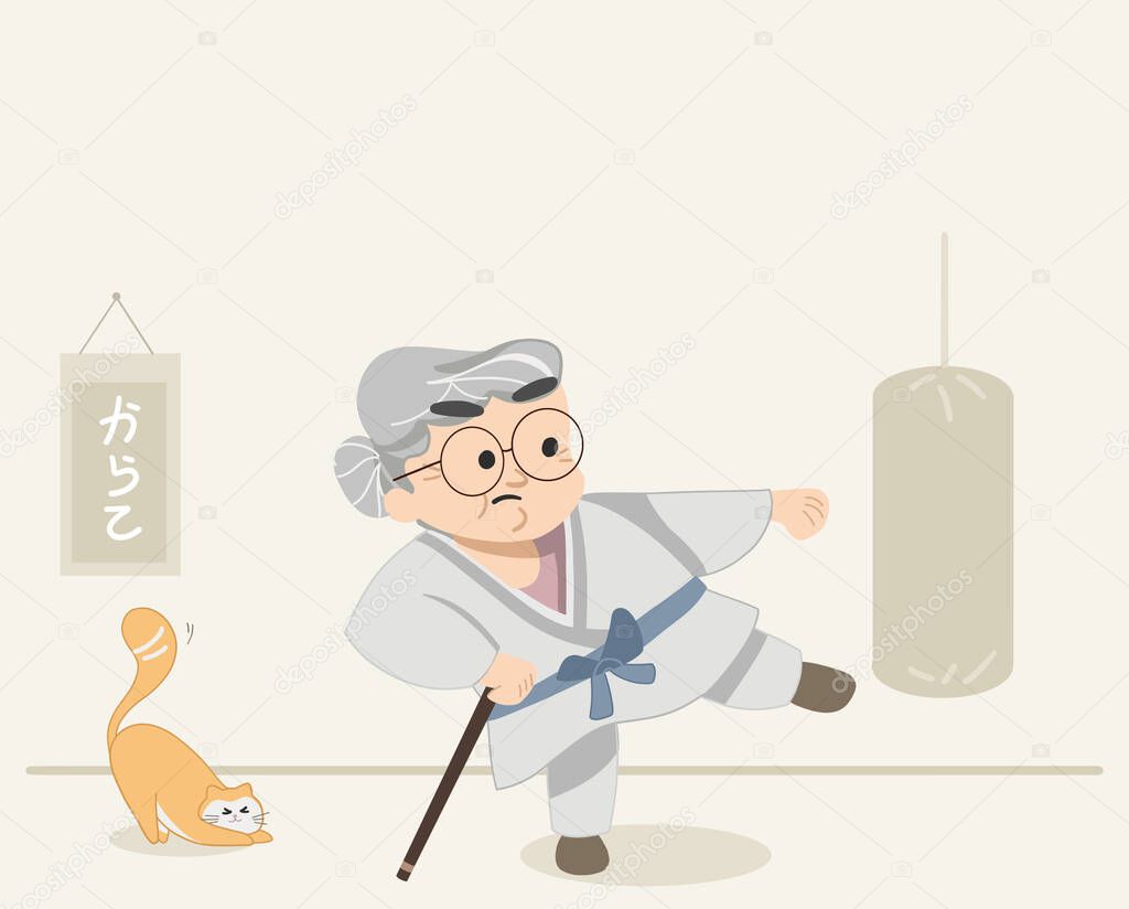 Funny cute granny doing karate practice. Granny staying fit and doing karate and martial arts. Modern cute granny and cat scene. Flat colored isolated vector illustration.