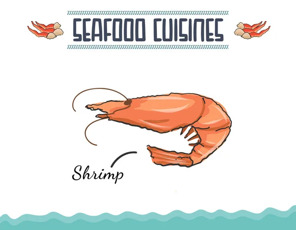 Seafood Shrimp Vector Illustration Hand Drawn Sketch Shrimp Graphic Design — Stock Vector