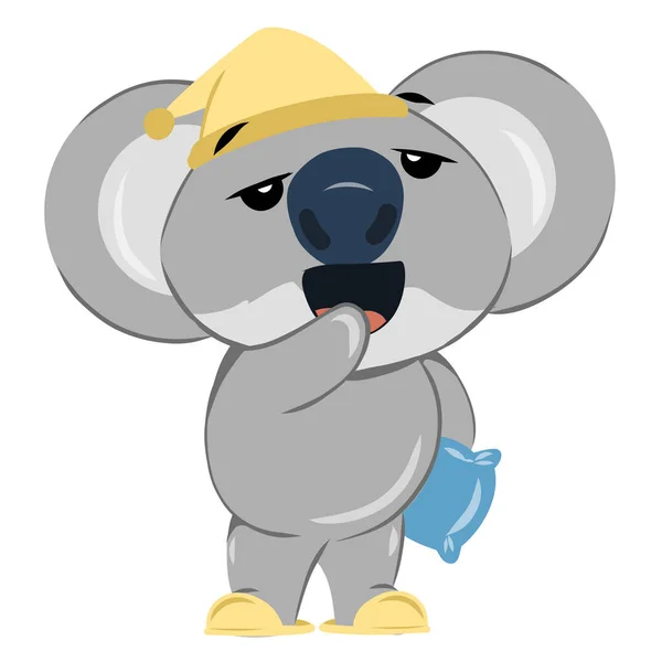Uykulu koala yastık tutarken esniyor. Uykusuz, sevimli, sevimli, insan şeklindeki Avustralyalı hayvan..