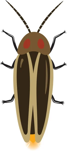 Realistic Firefly Top View Illustration Isolated Insects — Stockový vektor