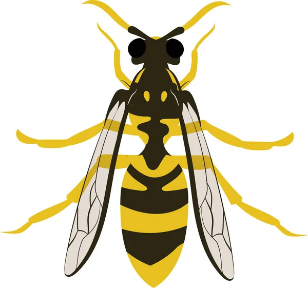 Hornet Wasp Vector Illustration Flat Colors Isolated White Background — ストックベクタ