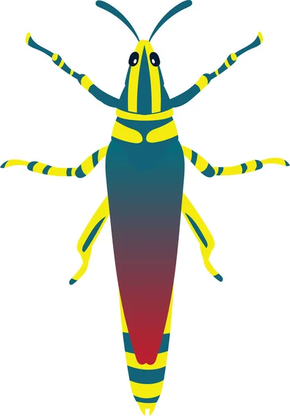 Grasshopper Locust Vector Illustration Isolated White Background — Image vectorielle
