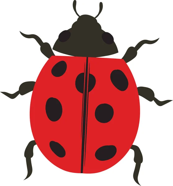 Ladybug Beetle Ladybird Illustration Flat Colors Isolated White Background —  Vetores de Stock