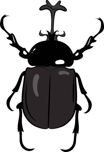 Realistic Top View Rhino Scarab Stag Beetle — Stockvector