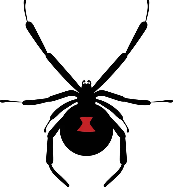 Black Widow Poisonous Spider Vector Illustration Inglês Clipart Halloween —  Vetores de Stock