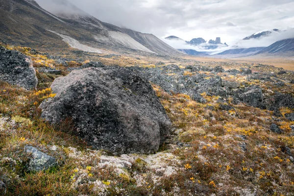 Felhőtlen nap az Akshayuk hágó vad, távoli sarkvidéki völgyében, Baffin-szigeten, Kanadában. Ikonikus gránithegyek a távoli horizonton. A Mt. Asgard a messzi északon. Nagy szikla elöl, mohás padló. — Stock Fotó