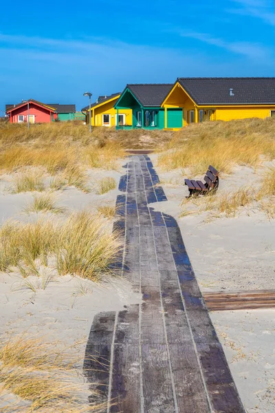 Dune, Alemania - 02.27.2022: Paseo de madera que conduce a coloridas cabañas de madera en dunas de arena con hierba amarilla en un hermoso día soleado de invierno. Casas de vacaciones en la playa. — Foto de Stock