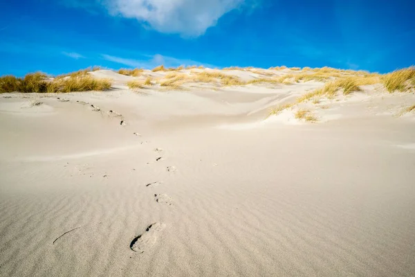 Huellas de botas que descienden de la duna de arena con hierba amarilla en la parte superior bajo el cielo azul brillante. Soleado día de invierno en la isla de Dune, Heligoland, Alemania. Vacaciones en la remota zona norte sin personas. — Foto de Stock