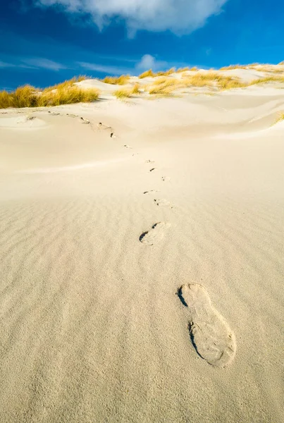 Huellas de botas que descienden de la duna de arena con hierba amarilla en la parte superior bajo el cielo azul brillante. Soleado día de invierno en la isla de Dune, Heligoland, Alemania. Vacaciones en la remota zona norte sin personas. — Foto de Stock