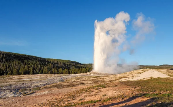 Yaşlı Sadık Gayzer mavi gökyüzü ile güneşli bir günde patlıyor. Wyoming, ABD 'deki Yellowstone Ulusal Parkı' nda jeotermal aktivite. Güneşli bir günde volkanik manzara