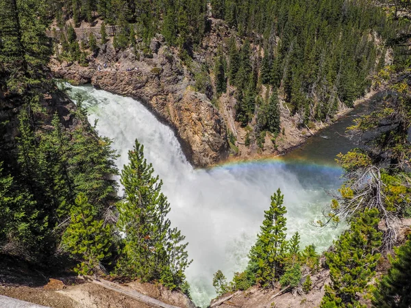 Hoge Hoek Opname Van Machtige Upper Falls Van Yellowstone Met — Stockfoto