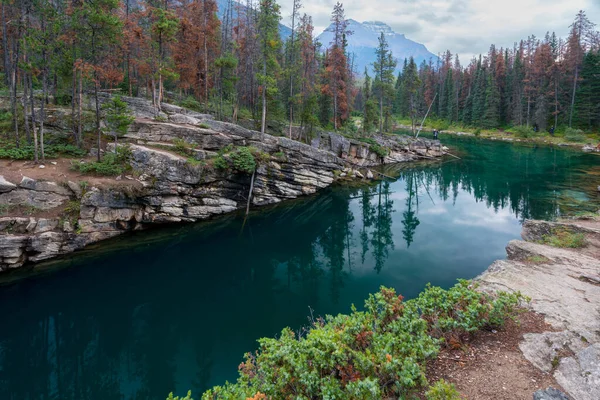 ジャスパー国立公園 アルバータ州 カナダのホースシュー湖による曇り 雨の日 背景にはぼんやりとした山々 カナダのロッキー山脈で雨の夏 ターコイズブルーの水に反射する木々や山 — ストック写真