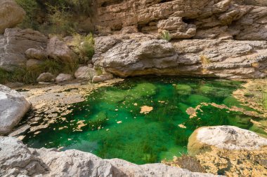 Umman 'daki Wadi Tiwi vadisindeki zümrüt yeşili tatlı su göleti. Arap çölünde Wadi. Kuru kanyonda ferahlatıcı su