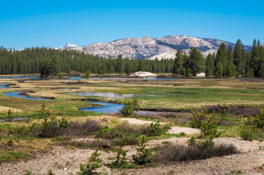 Yosemite Ulusal Parkı, Kaliforniya, ABD 'deki Sierra Nevada sıradağlarının panoramik görüntüleri. Güzel güneşli bir günde, ormanları ve dağ tepeleri olan engin bir manzara.