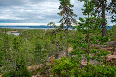 İsveç 'in Skuleskogen Milli Parkı' ndaki kayanın tepesinden Baltık Denizi ve Bothnia Körfezi manzarası. Yüksek sahil yolunda yürüyüş yapan Hoha Kustenleden