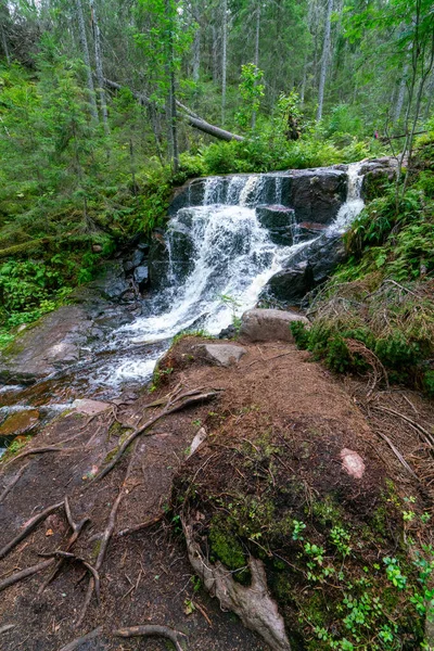 Small Waterfall Forest Skuleskogen National Park Sweden River Flowing Forest — Stock fotografie