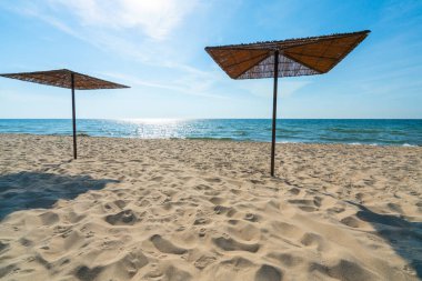 Yazın güneşli bir gününde boş kumlu sahilde Reed güneş gözlüğü. Baltık Denizi, Hel, Polonya. Tatil, tatil, yaz tatili.